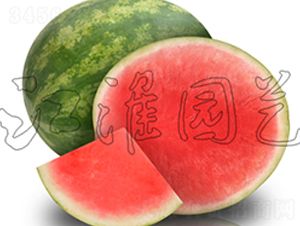 �o��5̖-���ϷN��-�����@ˇ