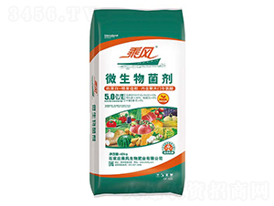 5�|��΢�������-���L����