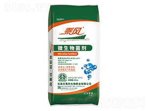 40kg΢�������-���L����