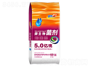 5�|���΢�������-���L����