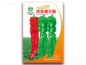 �s���i���c-�����N��-���i�N�I(y��)