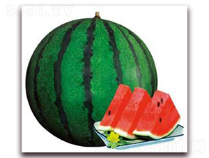 �����Ѿ���-���ϷN��-���i�N�I(y��)