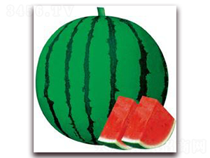 �OƷ����-���ϷN��-���i�N�I(y��)