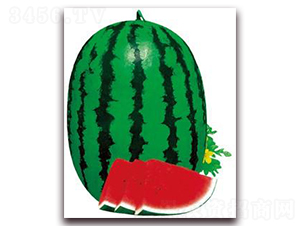 �������-���ϷN��-���i�N�I(y��)