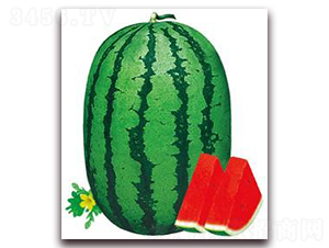 �G������-���ϷN��-���i�N�I(y��)