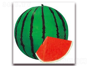 �ش��Ѿ���-���ϷN��-���i�N�I(y��)