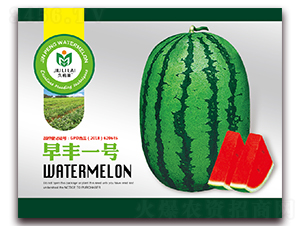 ���Sһ̖-���ϷN��-���i�N�I(y��)