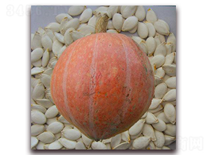 �ش�ѩ��Ƭ-�ϹϷN��-���i�N�I(y��)