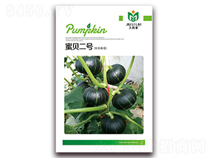 ��ؐ��̖(h��o)-�ϹϷN��-���i�N�I(y��)