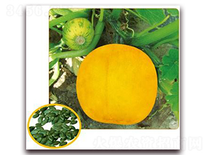 �����-�o(w��)���ϹϷN��-���i�N�I(y��)