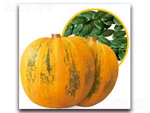 ��M��F1-�o(w��)���ϹϷN��-���i�N�I(y��)