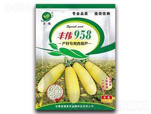 �S��958-���������J�N��-���i�N�I(y��)