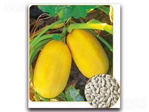 �S��P-09F1-���������J�N��-���i�N�I(y��)