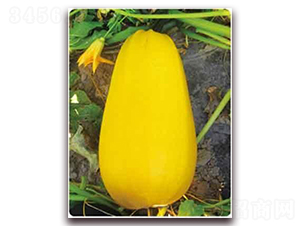 �S��P-10F1-���������J�N��-���i�N�I(y��)