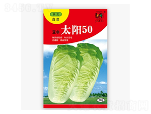 ̫�50-�ײ˷N��-����