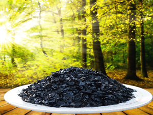 Ƭ�ֳ���-�P��