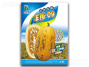 �°��S��09-���������J�N��-���i�N�I(y��)