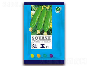 ����-���������J�N��-���i�N�I(y��)