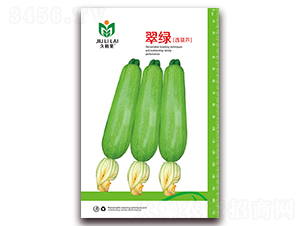 ��G-���������J�N��-���i�N�I(y��)