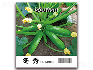 ����-���������J�N��-���i�N�I(y��)