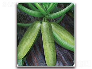 ����-���������J�N��-���i�N�I(y��)