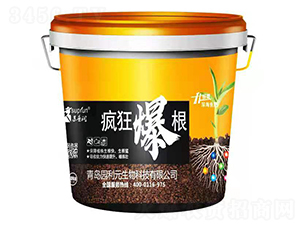 ���񱬸�-�@��Ԫ