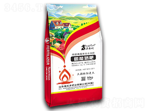 ���ܵ���-�K�՝�-�@��Ԫ