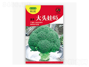 ���^��65-���m���N��-����