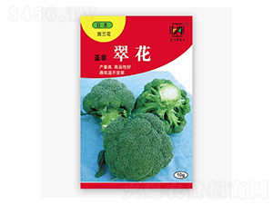 �仨-���m���N��-����