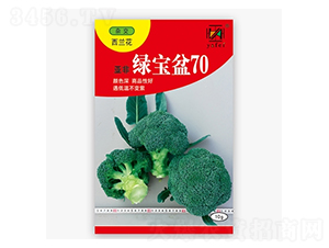 �G����70-���m���N��-����