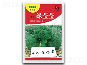 �G����-���m���N��-����