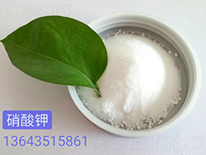 �����-��������