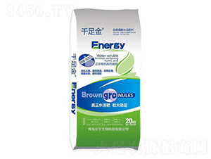 ����ֲ��ˮ�ܷ�-ǧ���