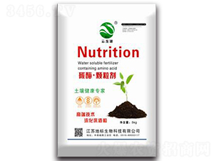 ̼ø���w����-�ؘ�����