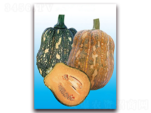 ����186-�ϹϷN��-�|������