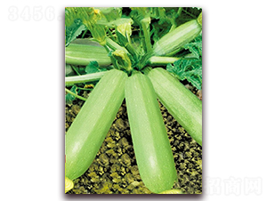 ���ȾG��̖-�����J�N��-�|������