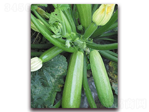 ���һ̖-�����J�N��-�|������