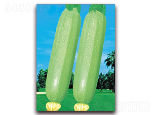 ���ȾGһ̖-�����J�N��-�|������