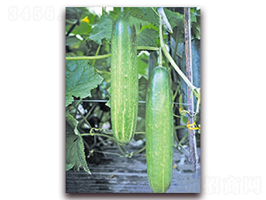 ����468-�S�ϷN��-�|������