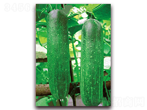 ����1092-�S�ϷN��-�|������