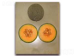 ��[008-��ϷN��-�|������