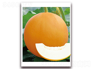 ��[136-��ϷN��-�|������