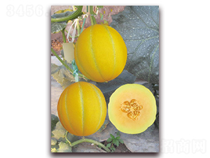 ��[141-��ϷN��-�|������