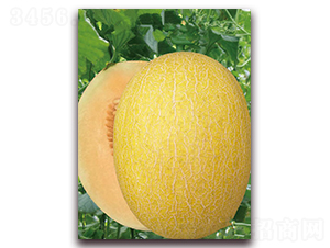 ��[����-��ϷN��-�|������