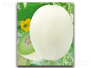 ��[369-��ϷN��-�|������