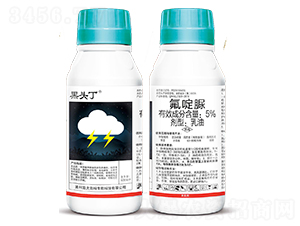 5%���������-���^��-�ƴ�߿�