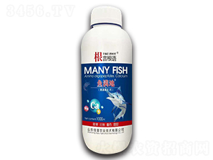 ���������}-���Ը��Z-�����r(n��ng)�I(y��)