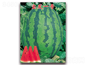 ���l(f��)һ̖-���ϷN��-�|������