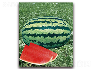 �Ī{��̖-���ϷN��-�|������