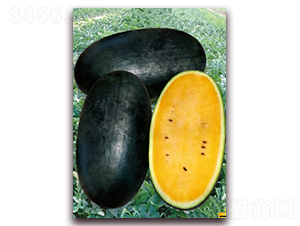 Դ�d25-���ϷN��-�|������